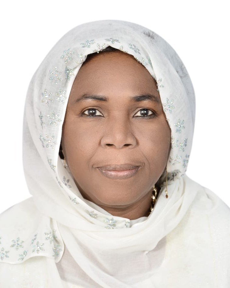 Portrait of Hauwa Ibrahim